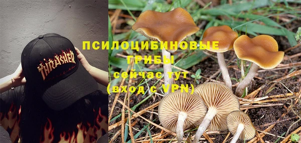 герыч Беломорск