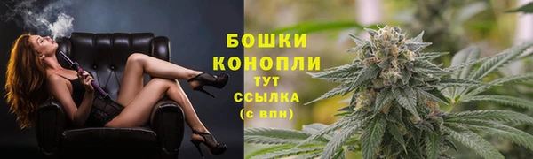 дживик Белоозёрский