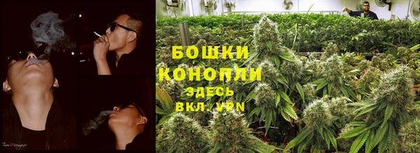 амф Белокуриха
