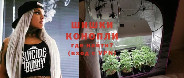 дживик Белоозёрский