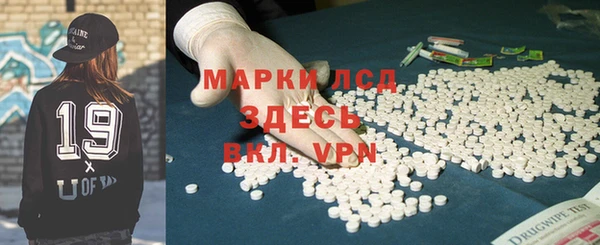 крисы Тайга