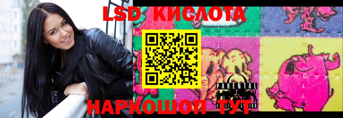 нарко площадка телеграм  LSD-25 экстази кислота  LSD-25 экстази кислота  Вход с VPN  Бугульма 