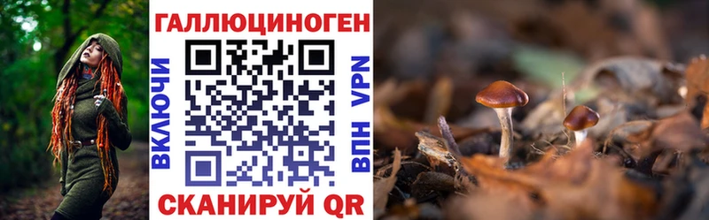 Псилоцибиновые грибы Psilocybine cubensis  купить закладку  Бугульма 
