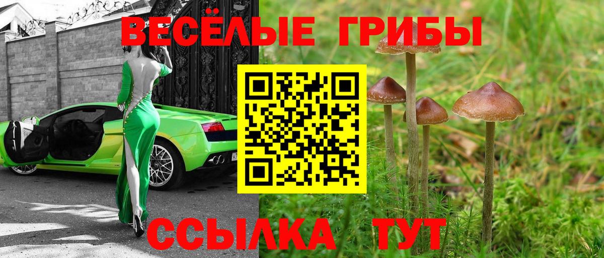 Бугульма  Псилоцибиновые грибы MAGIC MUSHROOMS  Псилоцибиновые грибы мухоморы  Вход с VPN 
