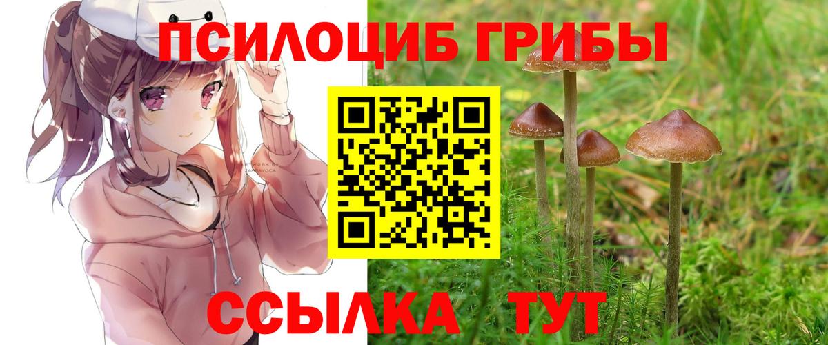 Галлюциногенные грибы прущие грибы Бугульма